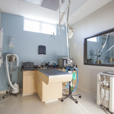 Dental Suite