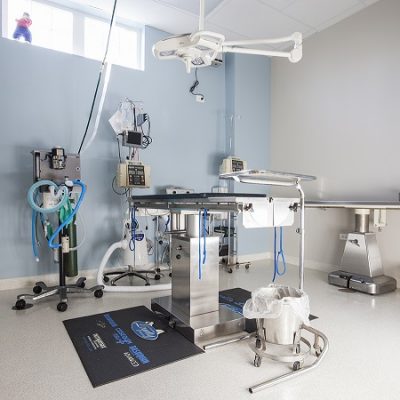 Surgical Suite