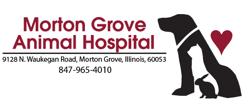 Morton Grove Animal Hospital