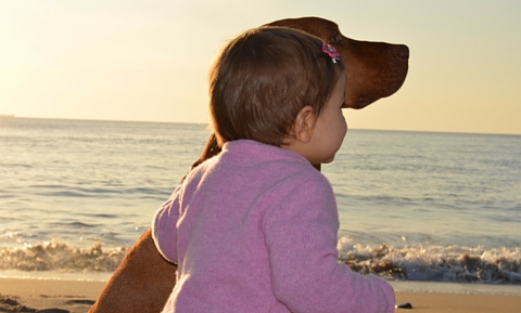 image for Tips for Preventing Dog Bites